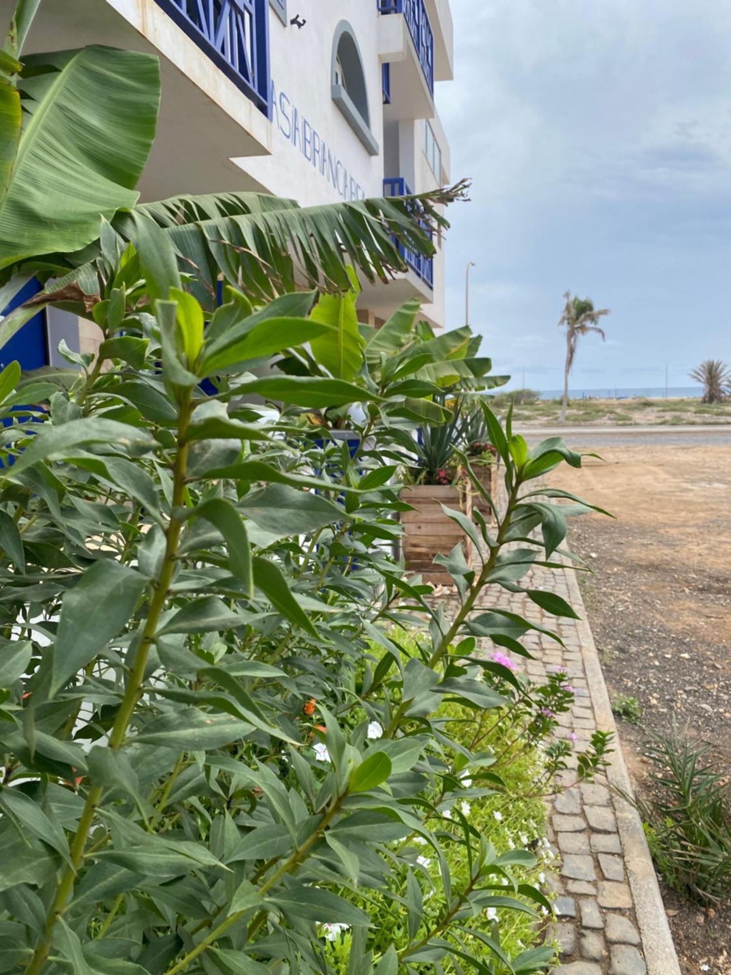 Casa Branca Beach Santa Maria Dış mekan fotoğraf